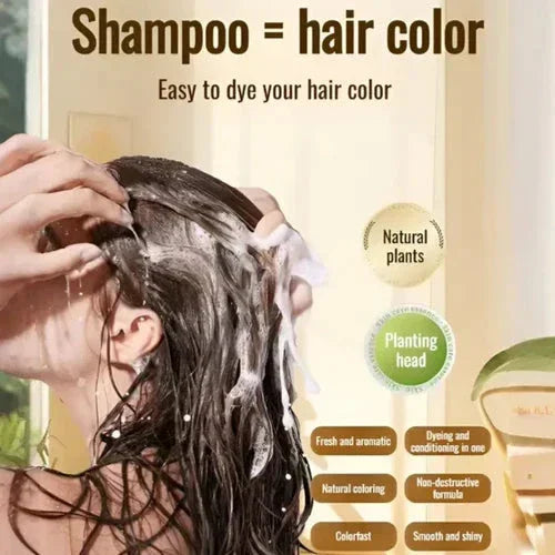 Japanese Long Lasting Natural Hair Dye Shampoo Big Mart