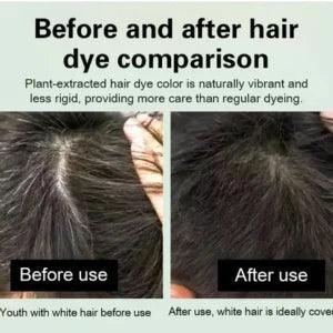 Japanese Long Lasting Natural Hair Dye Shampoo Big Mart